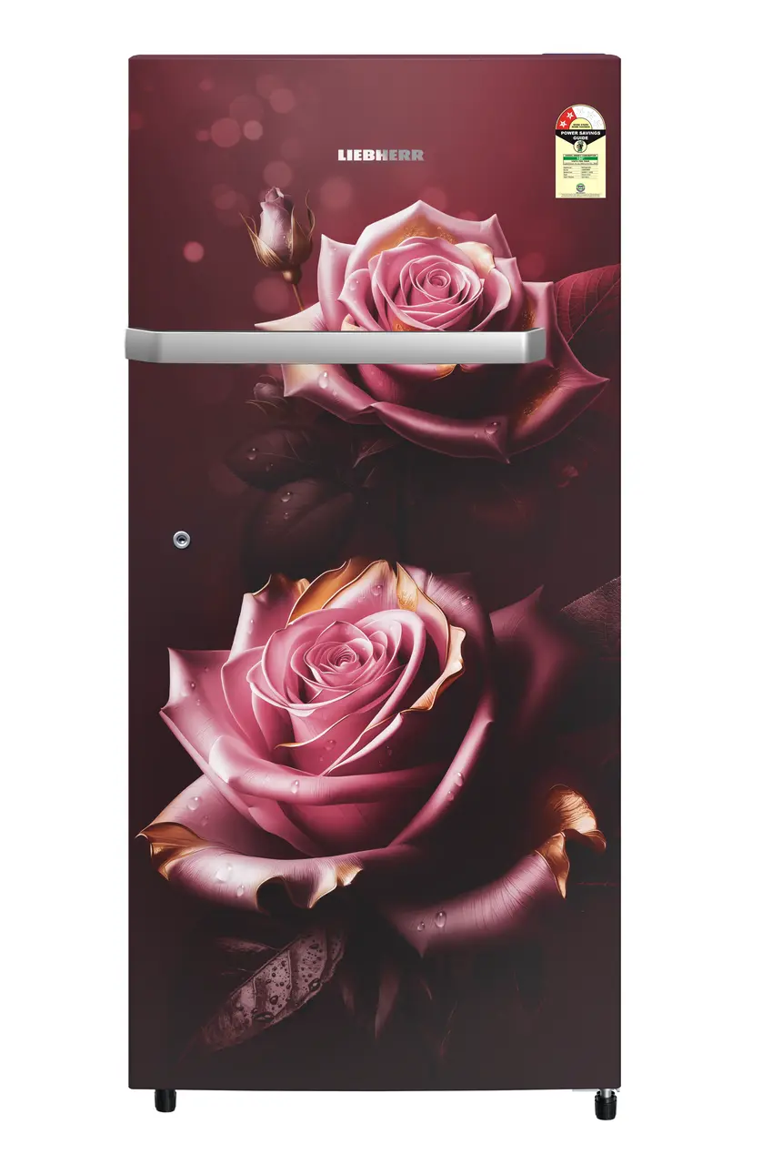 Product image, Perspective: straight closed, Single-door fridge , 222 l in 2 star and horizontal handle, Casing colour: red, Door colour: Red Rosette