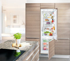 Immagine del prodotto, Prospettiva: Ambiente, Combinazione frigo-congelatore