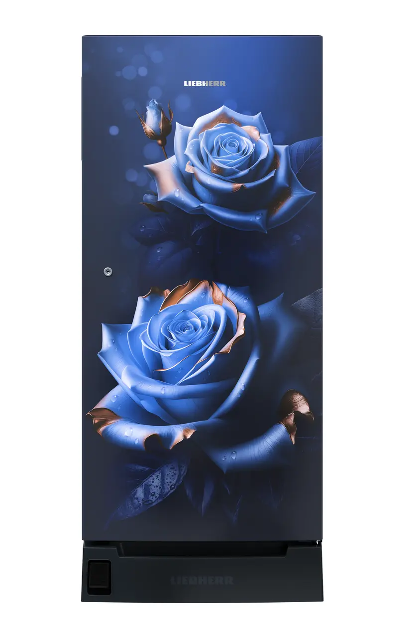 Product image, Perspective: straight closed, Single-door fridge 191 l in 4 star with foot pedal base drawer, Casing colour: blue, Door colour: Blue Rosette