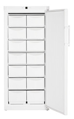 Product image, Perspective: straight open empty, Freezer with static cooling, Casing colour: white