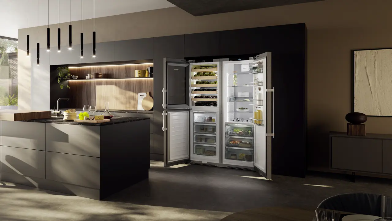 Product image, Perspective: milieu, Side-by-side combination with wine tempering compartment, Casing colour: silver, Door colour: stainless steel