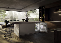 Изображение продукции, Перспектива: Внешние условия, Холодильник подходит для установки под столешницу с системой EasyFresh.