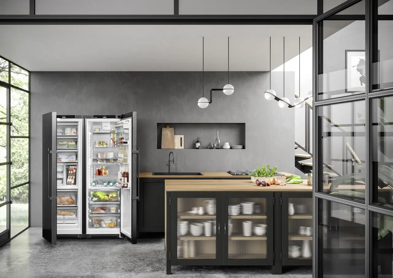 Product image, Perspective: milieu, Side-by-Side combination, Casing colour: BlackSteel, Door colour: BlackSteel