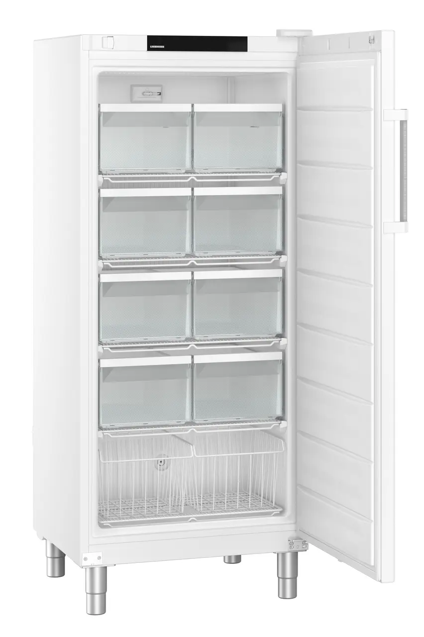 Product image, Perspective: oblique open empty, Freestanding freezer with SmartFrost, Casing colour: white, Door colour: white