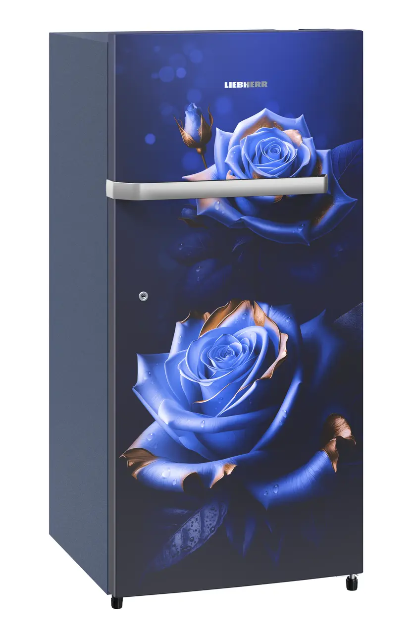 Product image, Perspective: oblique closed, Single-door refrigerator 191 l in 3 star and horizontal handle, Casing colour: blue, Door colour: Blue Rosette