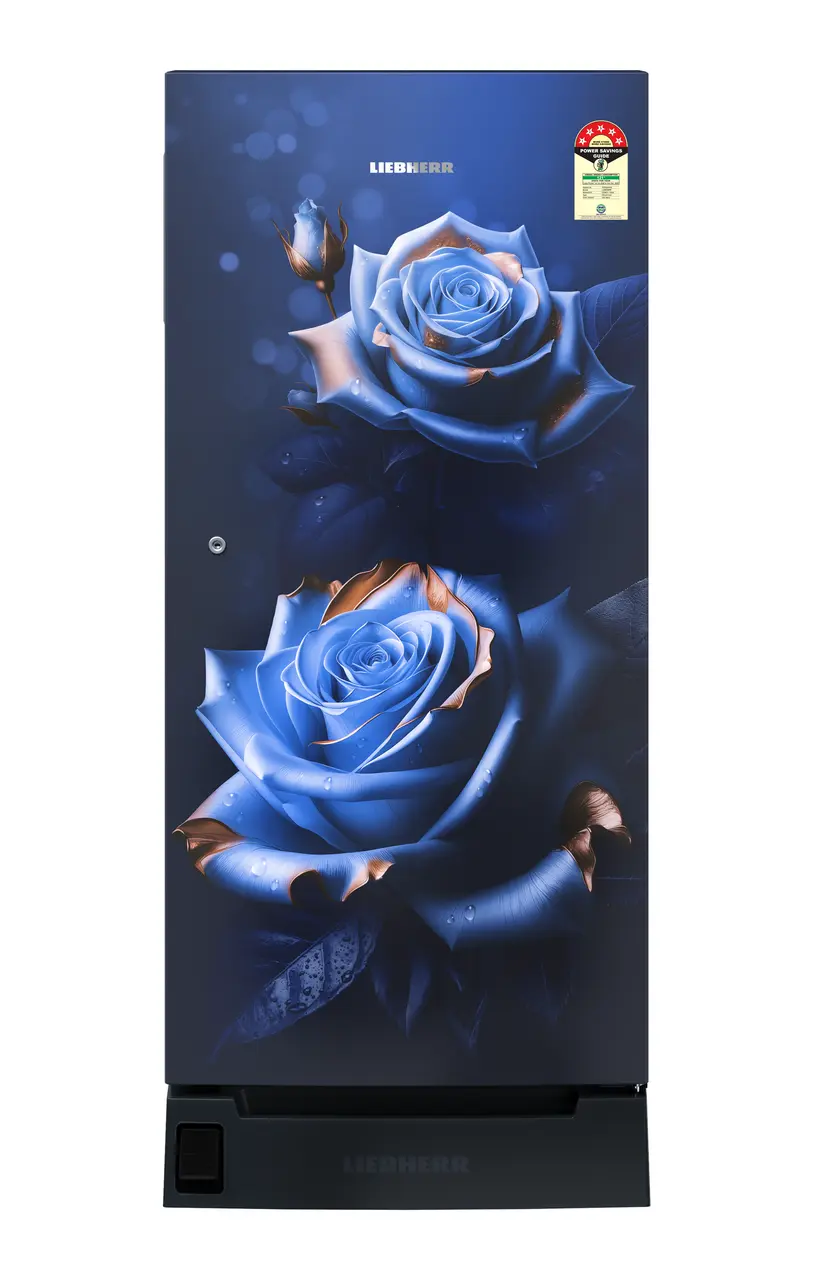 Product image, Perspective: straight closed, Single-door fridge 202 l in 5 star with foot pedal base drawer, Casing colour: blue, Door colour: Blue Rosette