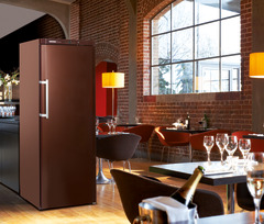 Product image, Perspective: milieu, Wine storage cabinet, Casing colour: terra, Door colour: terra