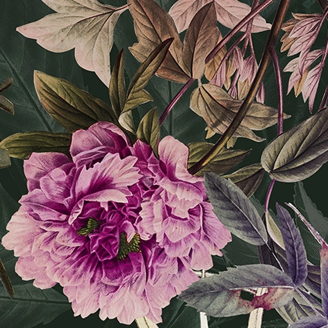 Zubehör-Bild, Perspektive: Sonderform