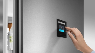 2,4-inčni dodirni zaslon