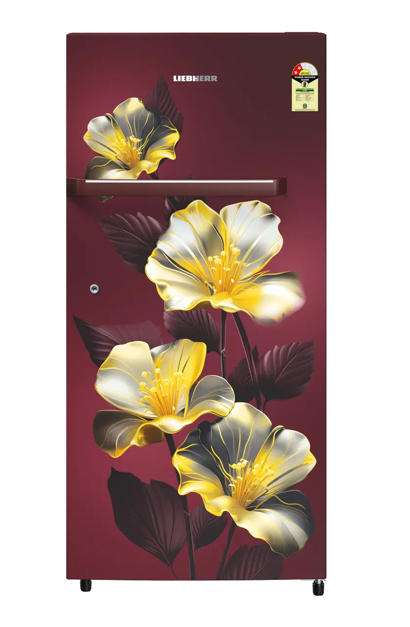 Product image, Perspective: straight closed, Single-door refrigerator 191 l in 2 Star and with horizontal handle, Casing colour: red, Door colour: Red Hibiskus