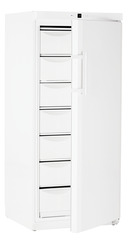 Product image, Perspective: special form, Freezer with static cooling, Casing colour: white