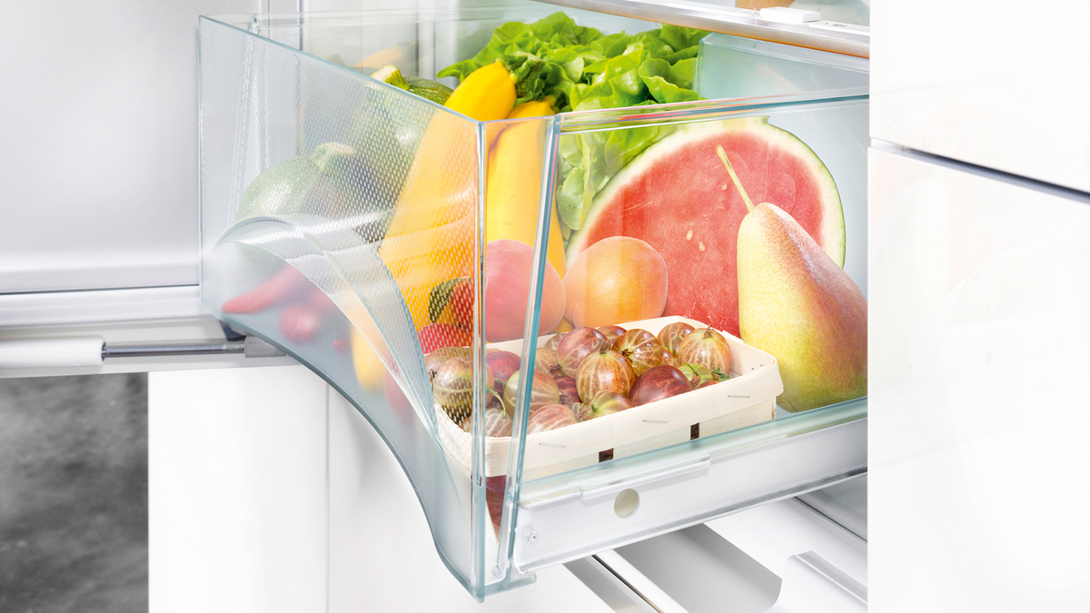 FiBFrC 3120 Plus Refrigerator with BioFresh for integrated use