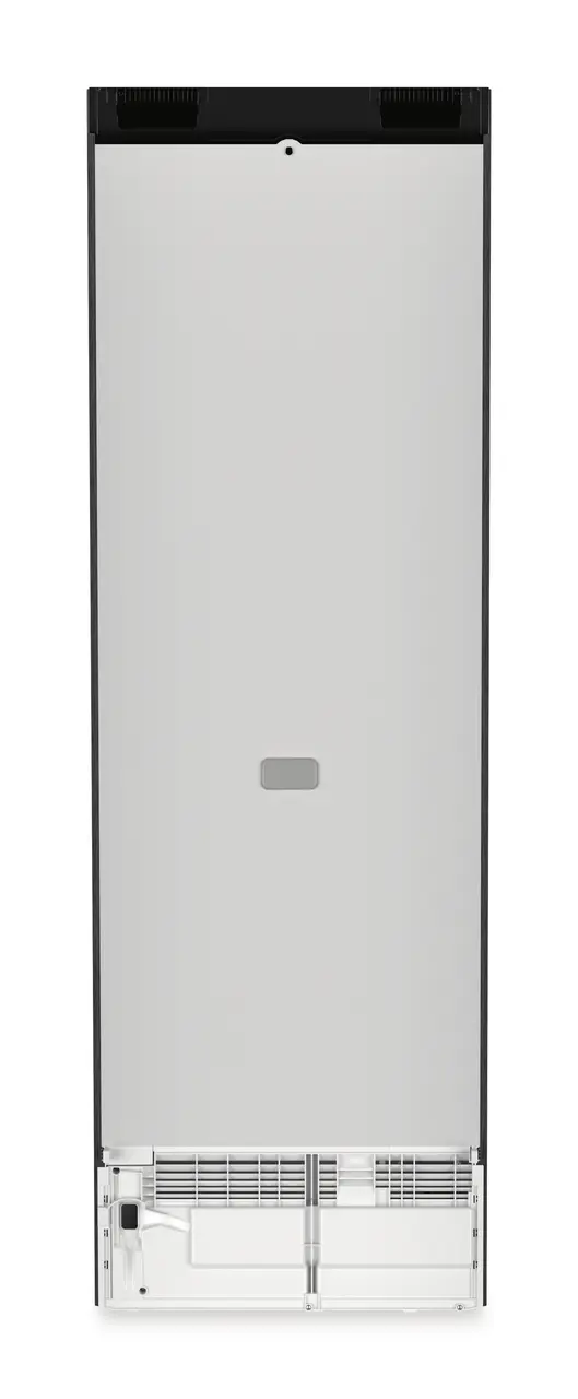 Product image, Perspective: back side, Freestanding refrigerator with BioFresh Professional, Casing colour: BlackSteel, Door colour: BlackSteel
