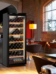Product image, Perspective: milieu, Wine storage cabinet, Casing colour: black, Door colour: black