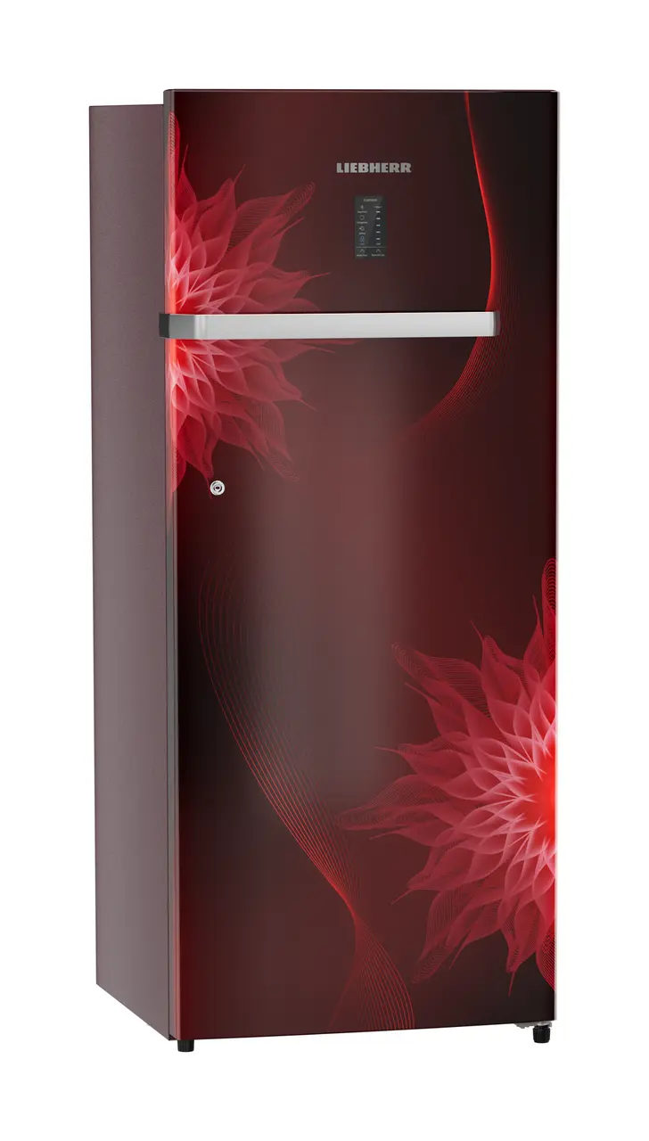 Product image, Perspective: oblique closed, Single-door refrigerator 222 l in 4 star with iCoolTouch UI, Casing colour: red, Door colour: Red Mystiq