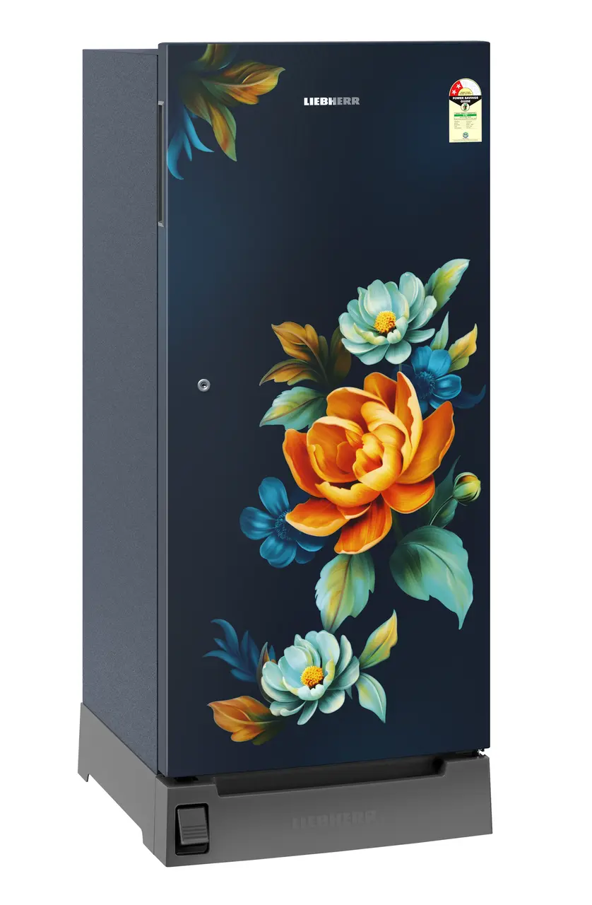 Product image, Perspective: oblique closed, Single-door fridge, 191 l in 2 star with foot pedal base drawer, Casing colour: blue, Door colour: Blue Wonder